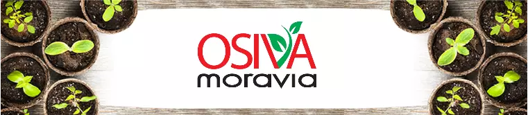 Hlavičkový obrázek